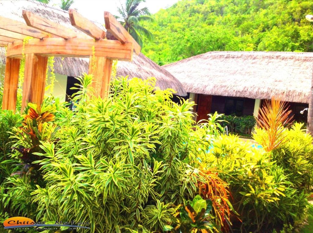 Chiisai Natsu Resort Bohol Екстер'єр фото