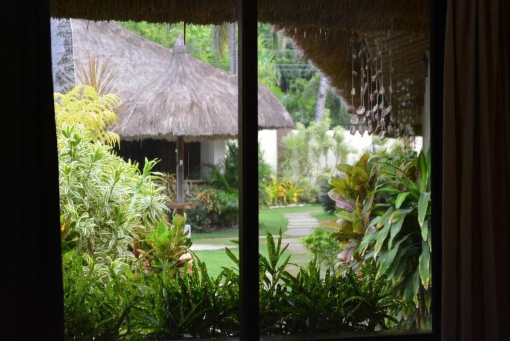 Chiisai Natsu Resort Bohol Номер фото